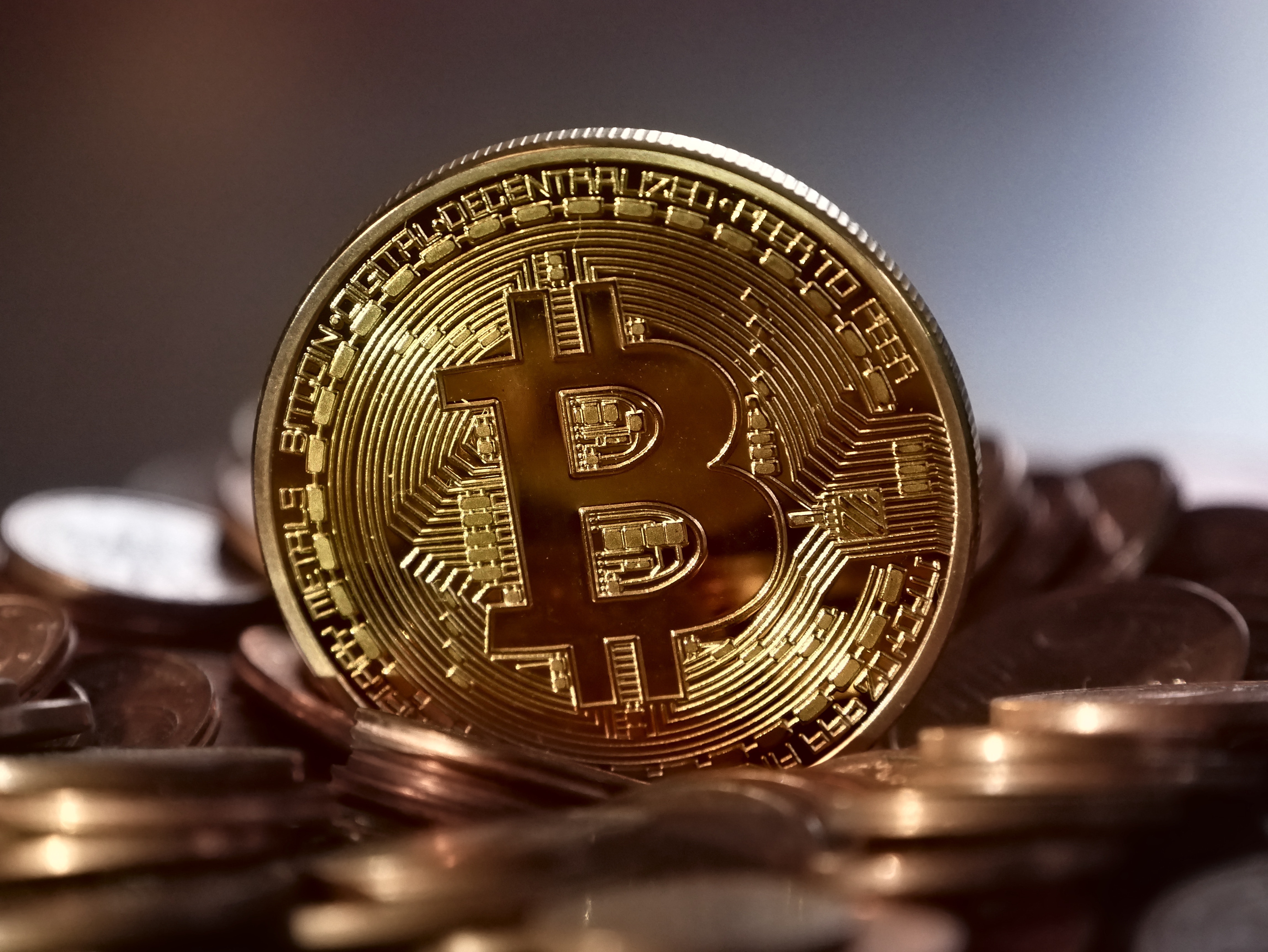 golden bitcoin coin standing above other coins